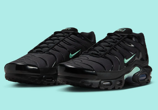 Nike Air Max Plus Black Ice?