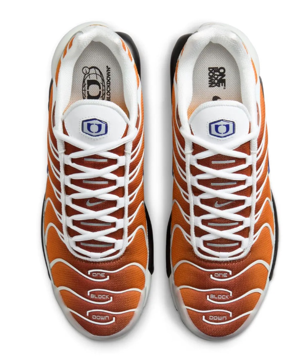 Air Max Plus TN: SP "Reverse" x One Block Down Arancione (Cold Sun) (2024)