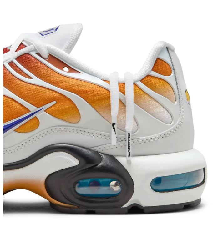 Air Max Plus TN: SP "Reverse" x One Block Down Arancione (Cold Sun) (2024)