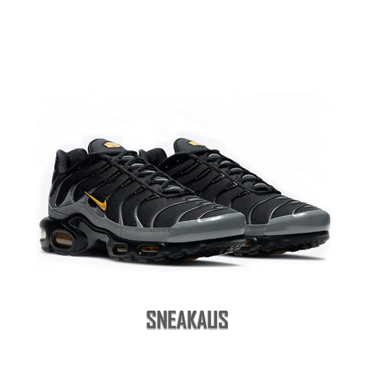 Air Max Plus TN : 'Batmans' (2020)