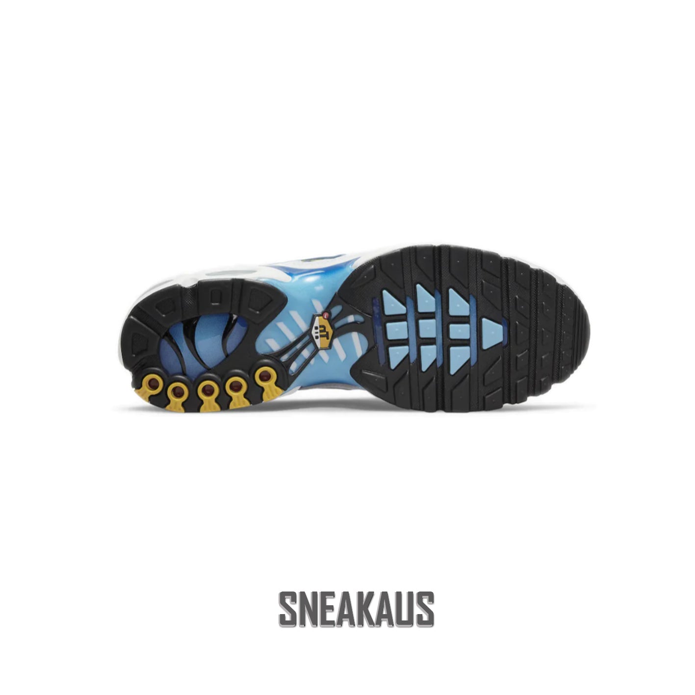 Air Max Plus TN : Blue Jays / Blue Spray paint Swoosh (2022)