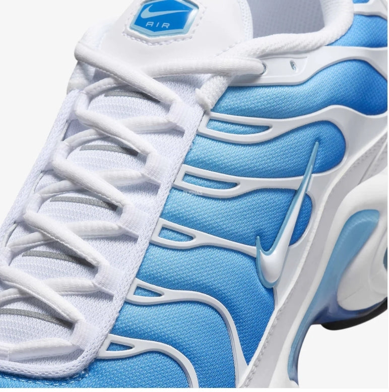 Air Max Plus TN : Battle blues (2024)