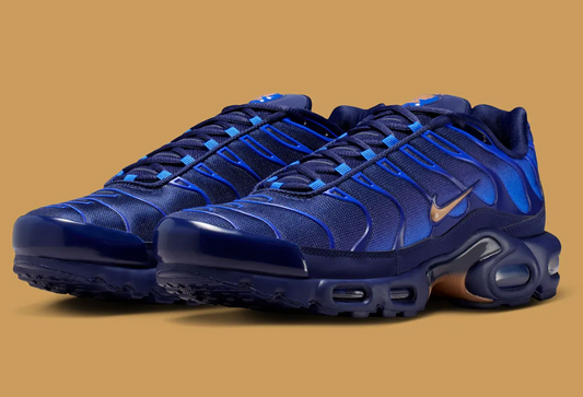 Nike Air Max Plus “France” (FFF) Release Info & SKU IQ0170-400