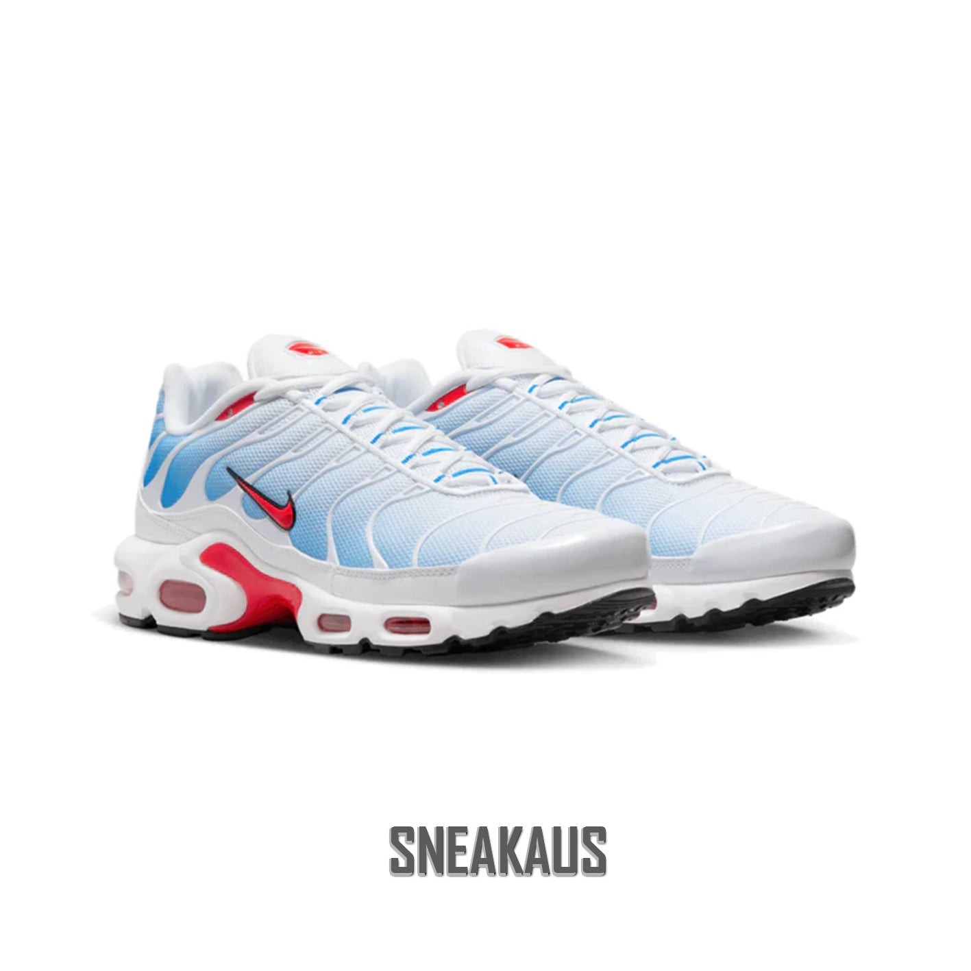 Air Max Plus TN : Retro Tides (2022)