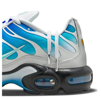 Air Max Plus TN: SP "Reverse" x One Block Down (Dry Water Blue) (2024)